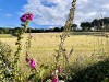 Les-Guerets-14