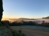 Bij-Landgenoten_06