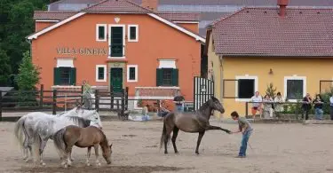 Villa Gineta - Logeren bij Belgen in Tsjechië