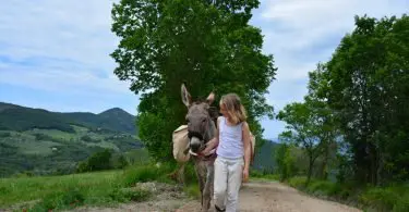 Altratoscana - Trektochten per Ezel in Toscane
