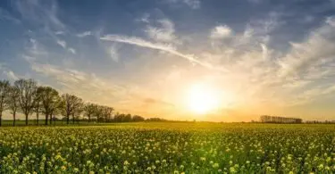 De vakantie staat voor de deur – neem België mee op reis!