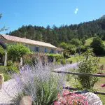 Gîtes Au Moulin d'Antan - Logeren bij Taalgenoten in Frankrijk