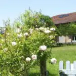 Pyrénées Passions - Logeren bij Taalgenoten in Frankrijk