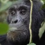 Elizabeth Tours - Met Landgenoten in Oeganda