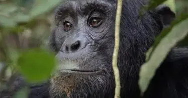 Elizabeth Tours - Met Landgenoten in Oeganda