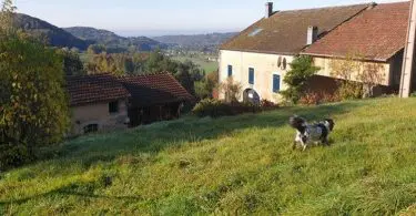 La Ferme - Logeren bij Taalgenoten in de Vogezen
