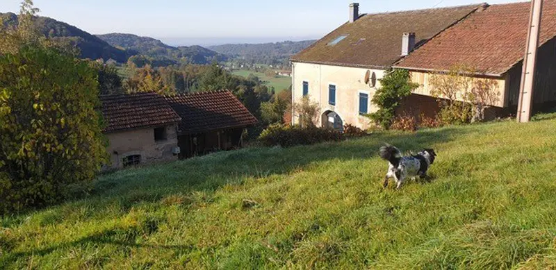 La Ferme - Logeren bij Taalgenoten in de Vogezen
