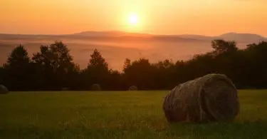 Hunza Ecolodge - Logeren bij Landgenoten in Hongarije