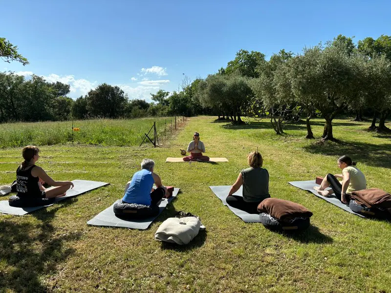 Women Days - Arrangement Domaine des Campeaux