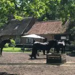 De Swaenhoeve - Bij Landgenoten - Logeren bij Belgen