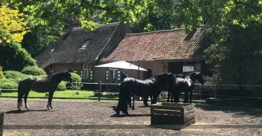 De Swaenhoeve - Bij Landgenoten - Logeren bij Belgen