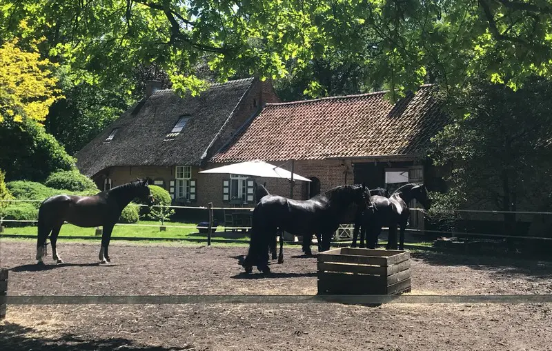 De Swaenhoeve - Bij Landgenoten - Logeren bij Belgen