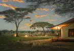 Siringit Serengeti Camp - Logeren bij Landgenoten in Tanzania