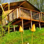 Agriturismo Meriggiare - Logeren bij Taalgenoten in Italië