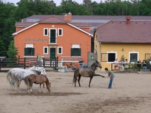 Villa Gineta - Logeren bij Belgen in Tsjechië