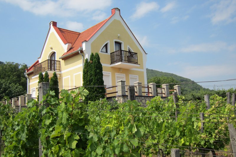 Villa Tibor - Logeren bij Belgen in Hongarije