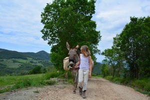 Altratoscana - Trektochten per Ezel in Toscane