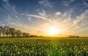 De vakantie staat voor de deur – neem België mee op reis!