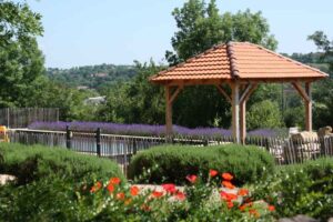 Mas de Bouzou - Logeren bij Landgenoten in Frankrijk