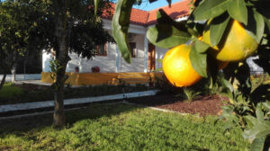 Quinta Laranjal da Arrabida - Logeren bij Belgen in Portugal