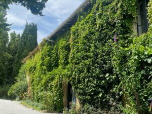 Domaine en Birbès - Logeren bij Taalgenoten in Frankrijk