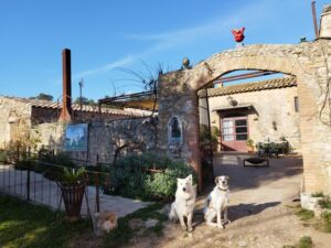 Mas del Llop Blanc - Logeren bij Landgenoten in Spanje