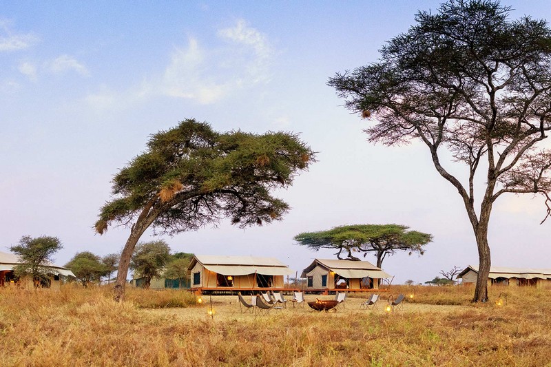 Siringit Serengeti Camp - Logeren bij Landgenoten in Tanzania