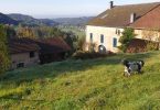 La Ferme - Logeren bij Taalgenoten in de Vogezen