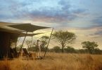 Siringit Serengeti Camp - Logeren bij Landgenoten in Tanzania