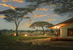 Siringit Serengeti Camp - Logeren bij Landgenoten in Tanzania