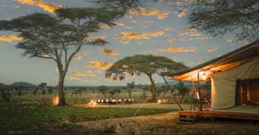 Siringit Serengeti Camp - Logeren bij Landgenoten in Tanzania