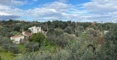 Casa Collina - Logeren bij Landgenoten in Italië